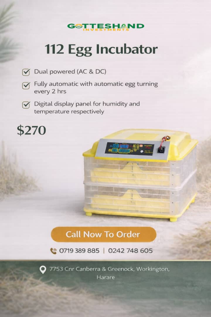 112 Egg Incubator